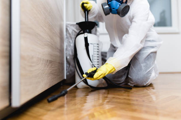 Reliable Gages Lake, IL Pest Control Solutions
