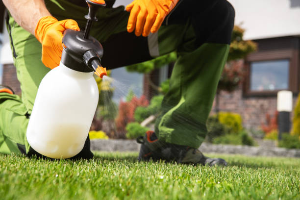 Pest Control for Restaurants in Gages Lake, IL
