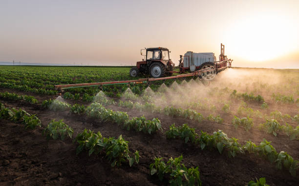 Best Best Pest Control Companies  in Gages Lake, IL