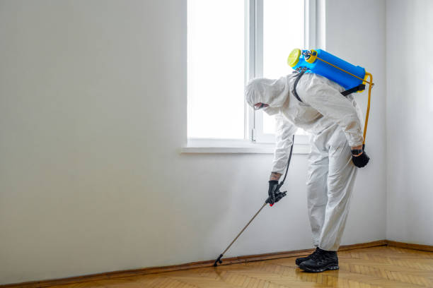 Best Mosquito Control Services  in Gages Lake, IL
