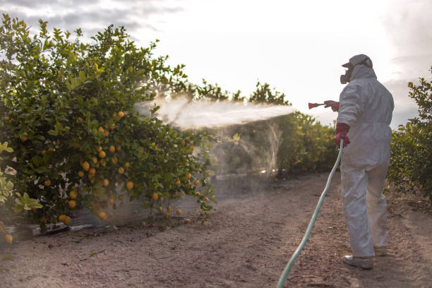 Best Pest Control for Homes  in Gages Lake, IL