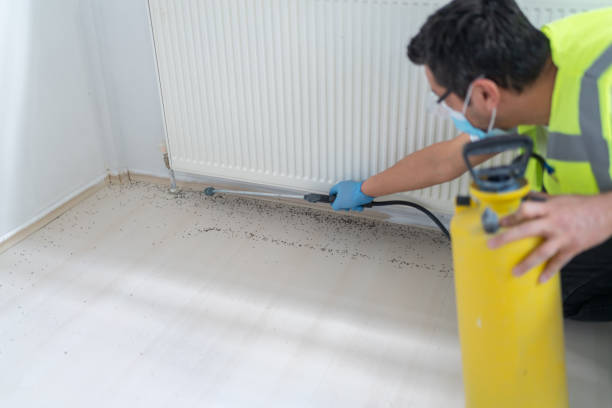Best Emergency Pest Control  in Gages Lake, IL
