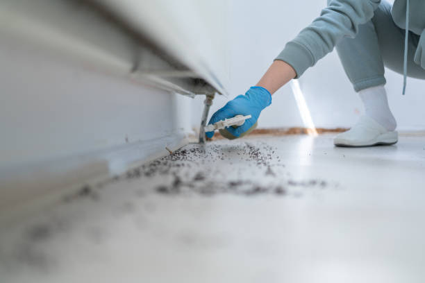 Best Pest Removal Services  in Gages Lake, IL