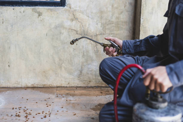 Best Termite Control Services  in Gages Lake, IL