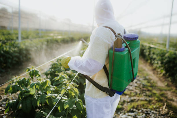 Best Best Pest Control Companies  in Gages Lake, IL